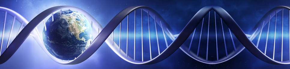 Wellcome to the official website of the Bulgarian Peptide Society